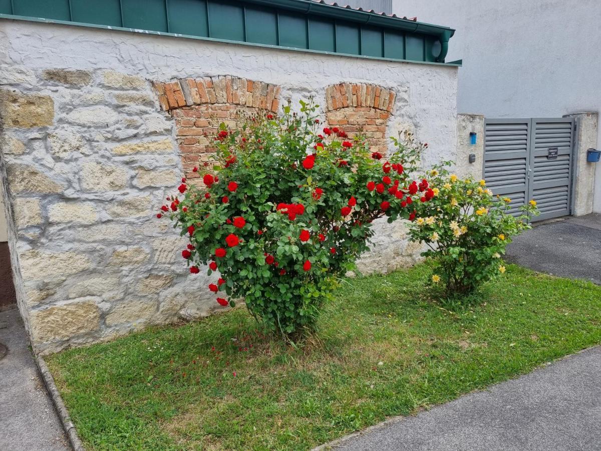 Ferienhaus Rado Winden am See 外观 照片